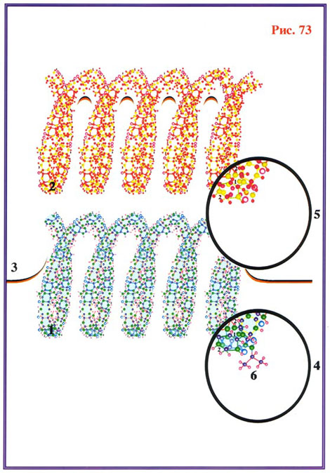 Fig-73