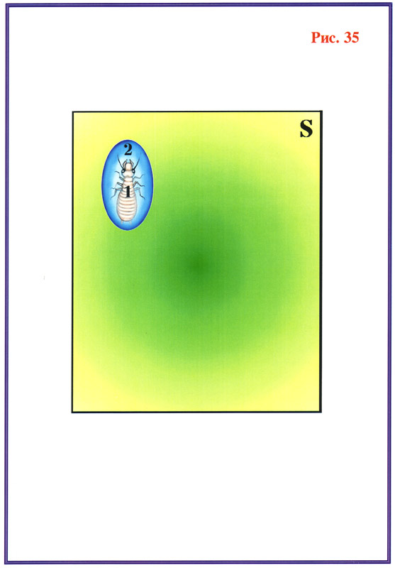 Fig1 35