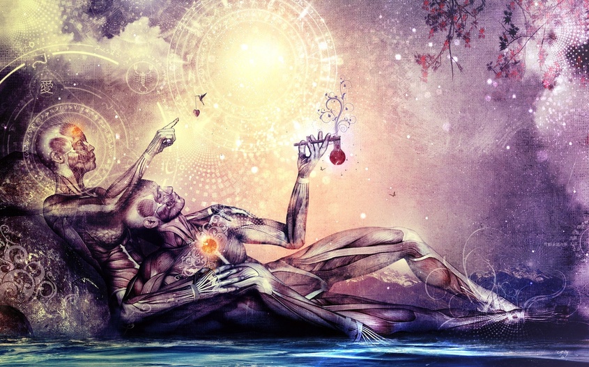 Чакры: Разноцветные цветы лотоса