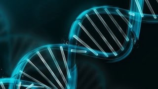 Генетический хаос