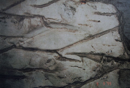 Ископаемая каменная  карта Урала