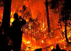 Лесные пожары в истории России