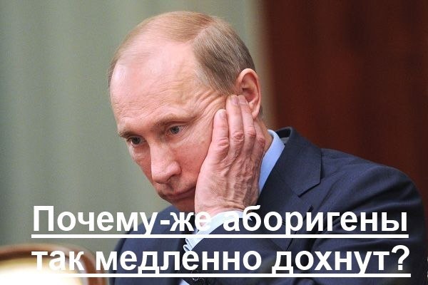 Работа системы: Маразм и деградация Власти