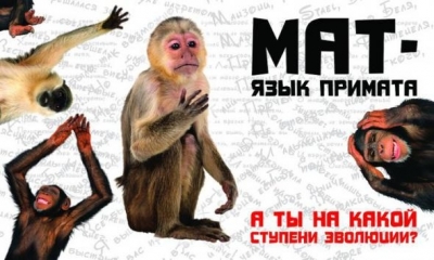 Не убивайте матом хромосому