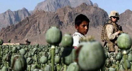  Мы боимся своего прошлого, настоящего и будущего 