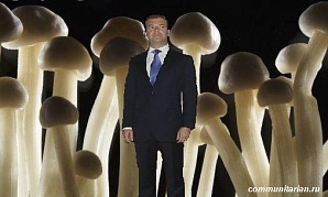 О галлюцинациях и «электронных услугах» нашего правительства