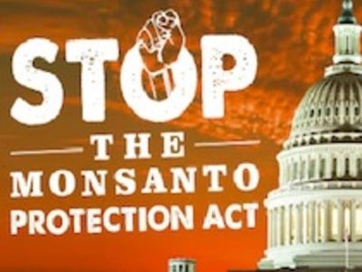 монсанто2.jpg Корпорацию Монсанто поставили выше судебной власти и права человека на жизнь
