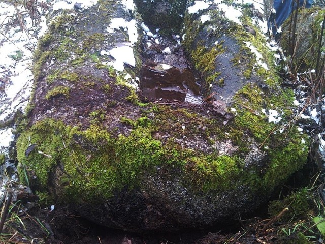 Мегалиты Вологодчины Мегалиты Индомана