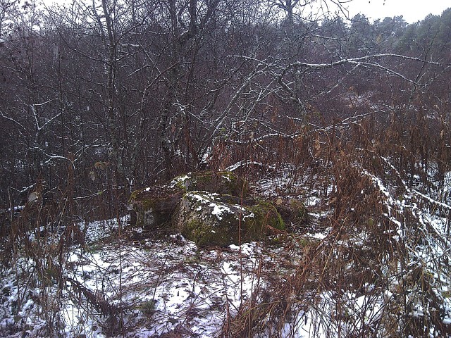 Мегалиты Вологодчины Мегалиты Индомана