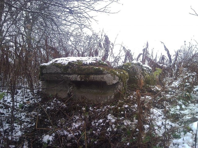 Мегалиты Вологодчины Мегалиты Индомана