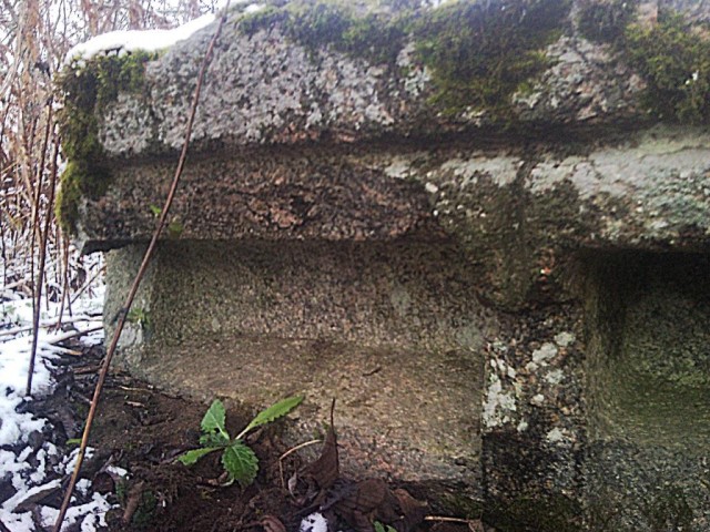 Мегалиты Вологодчины Мегалиты Индомана