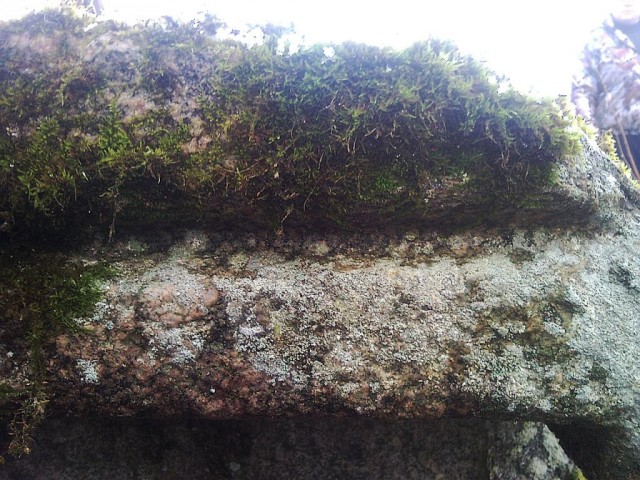 Мегалиты Вологодчины Мегалиты Индомана