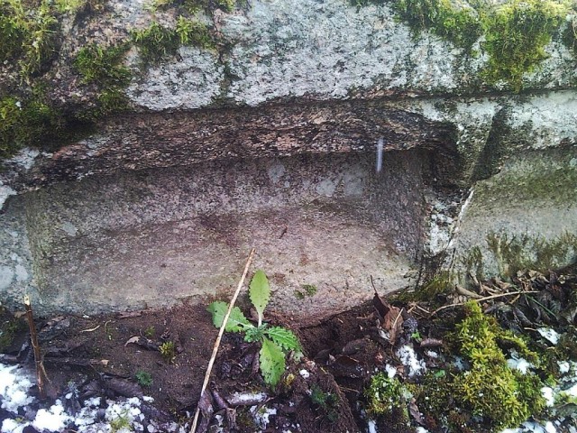 Мегалиты Вологодчины Мегалиты Индомана