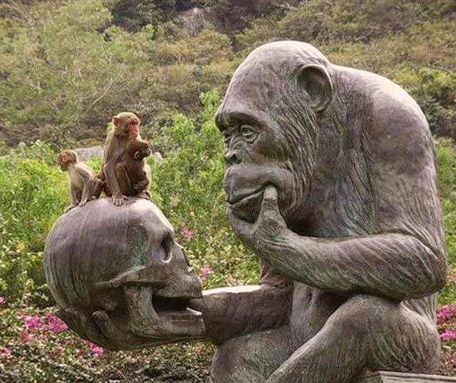 Подлинная история человечества