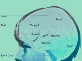 В СМИ началась очередная кампания по «научному обоснованию необходимости сокращения населения»