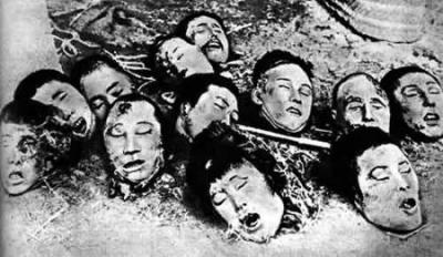 Подопытные для японских биологов