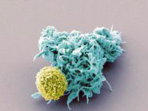 С помощью вирусов человечество водят за нос