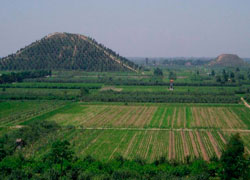 Военно-исторические хохмы