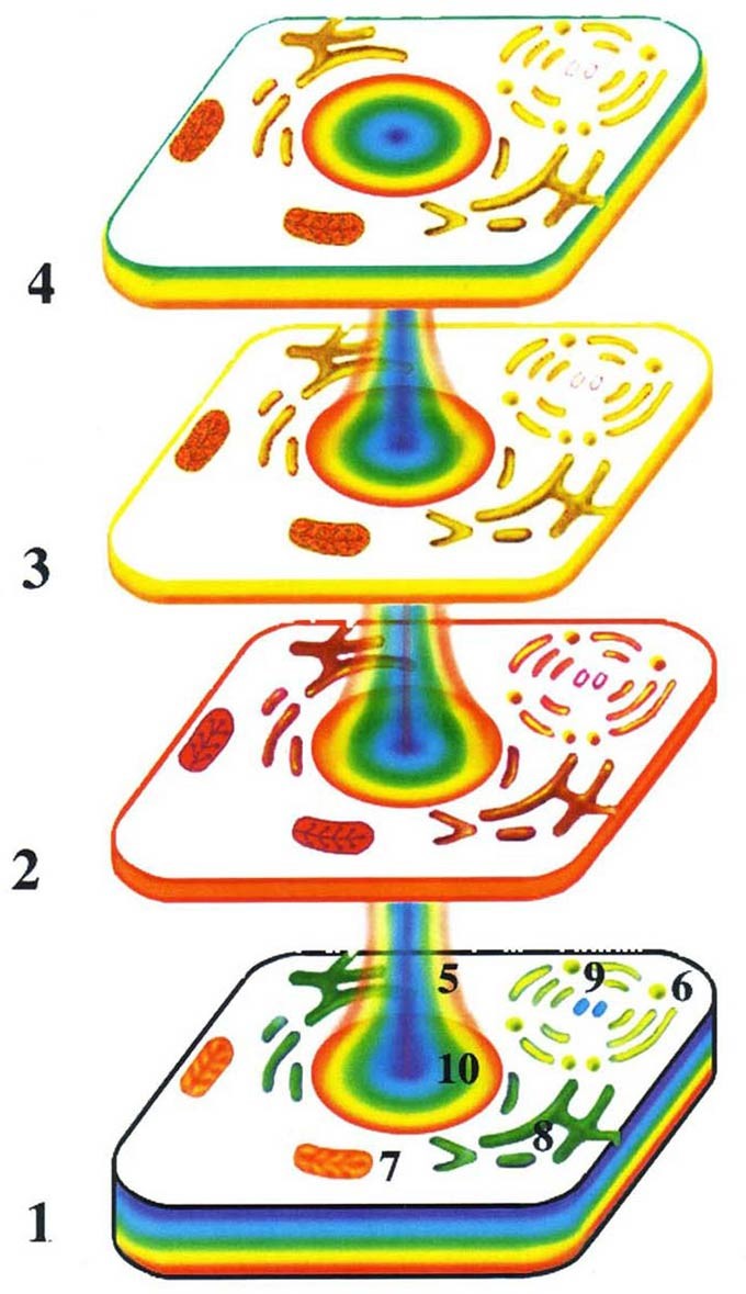 Жизнь после Жизни. Наказание за грехи. Карма